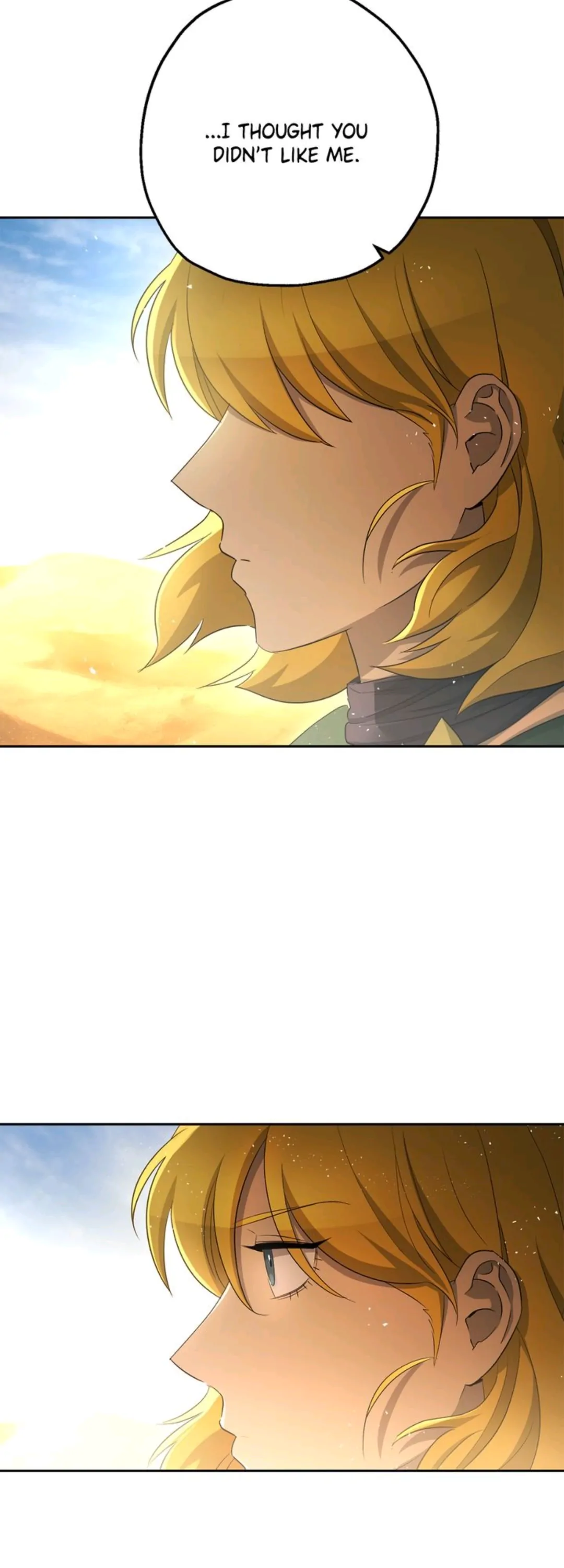 7981153 1080 3000 82566