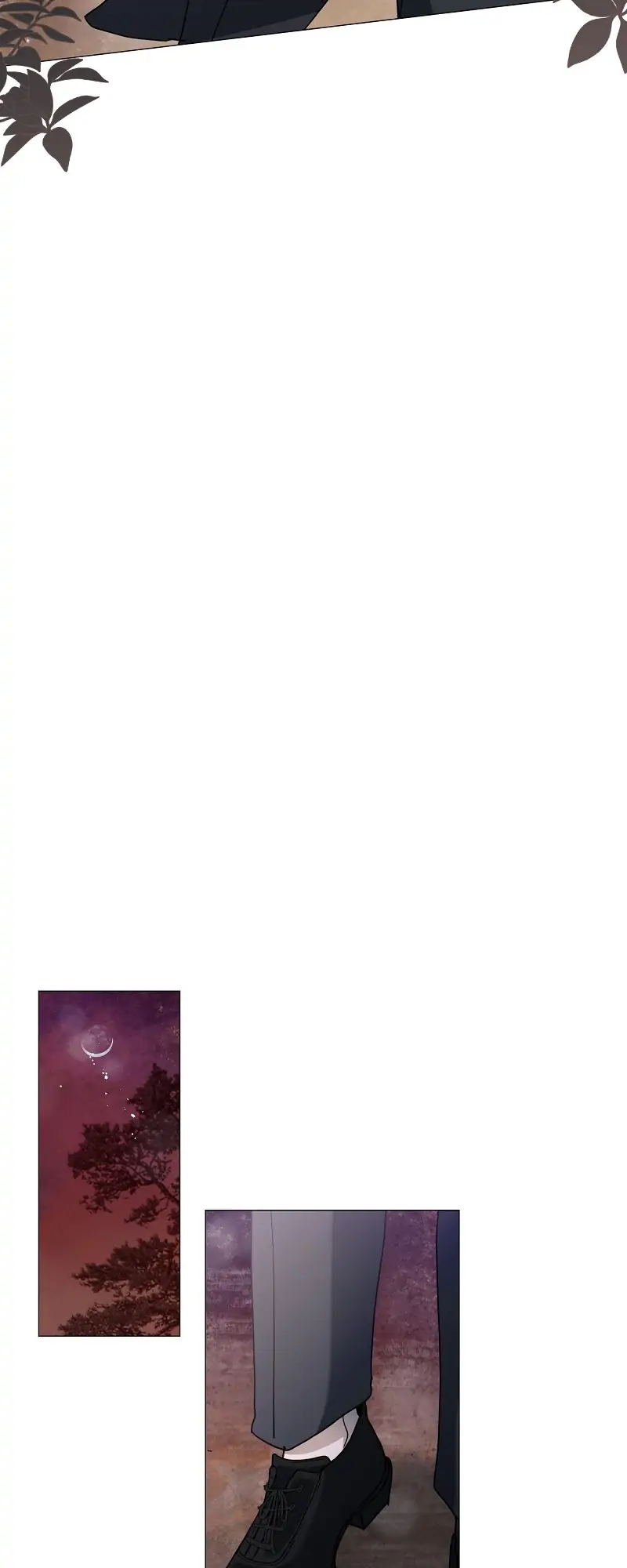 26305025 800 2000 20324